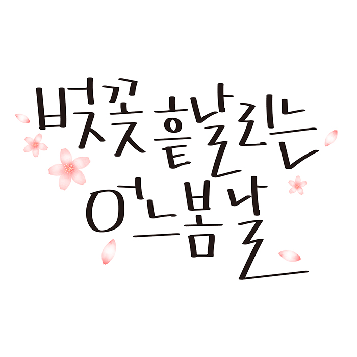 Da0021캘리캘리그라피손글씨펜글씨봄캘리벚꽃봄 4442